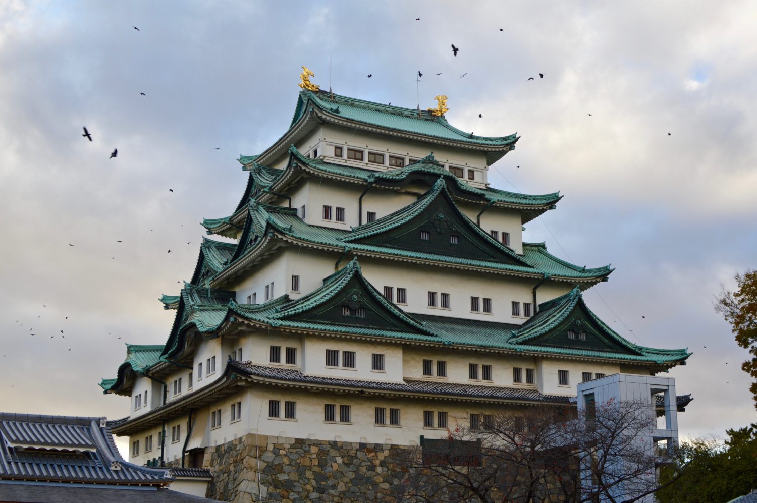 Tòa thành Nagoya hùng vĩ nhất Nhật Bản.
