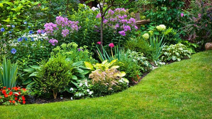 7 nguyên tắc cơ bản nhất trong việc thiết kế sân vườn