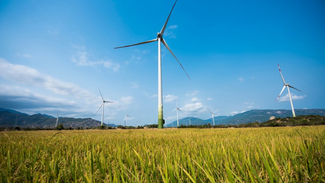Các nhà đầu tư điện gió đối diện với nhiều thách thức