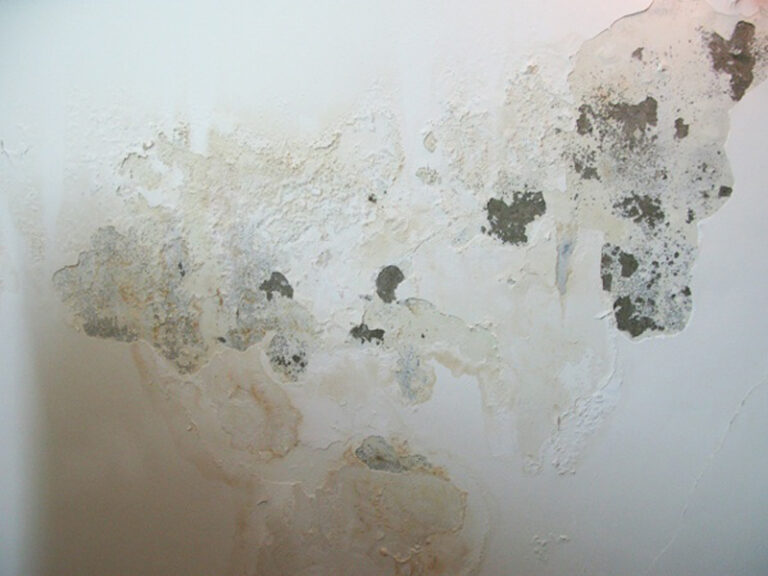 Các lỗi thi công khiến tường nhà bị bong tróc sơn, nhanh phai màu
