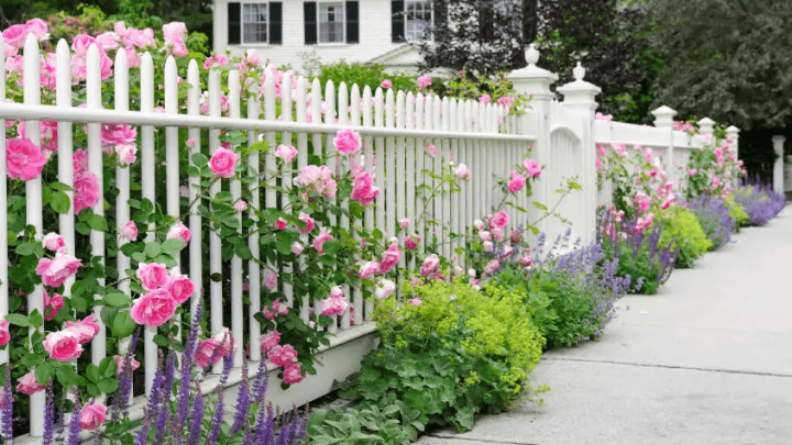 Hàng rào đẹp đem lại phong cách mới cho ngôi nhà