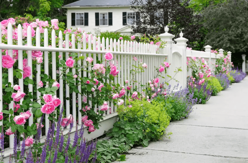 Hàng rào đẹp đem lại phong cách mới cho ngôi nhà
