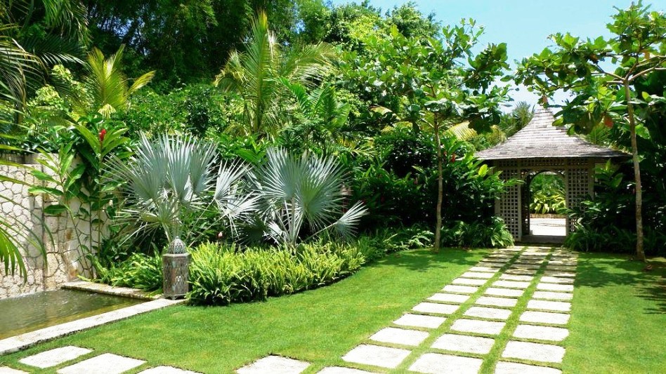 Những loại cây phong thủy sẽ mang tài lộc tới cho gia chủ nếu được trồng ở mặt tiền sân nhà